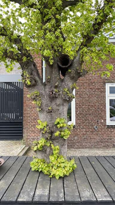 Puur Eastermar - Monumentaal, Authentiek En Luxe Koetshuis Aan Open Vaarwater Met Jacuzzi En Sauna Oostermeer エクステリア 写真
