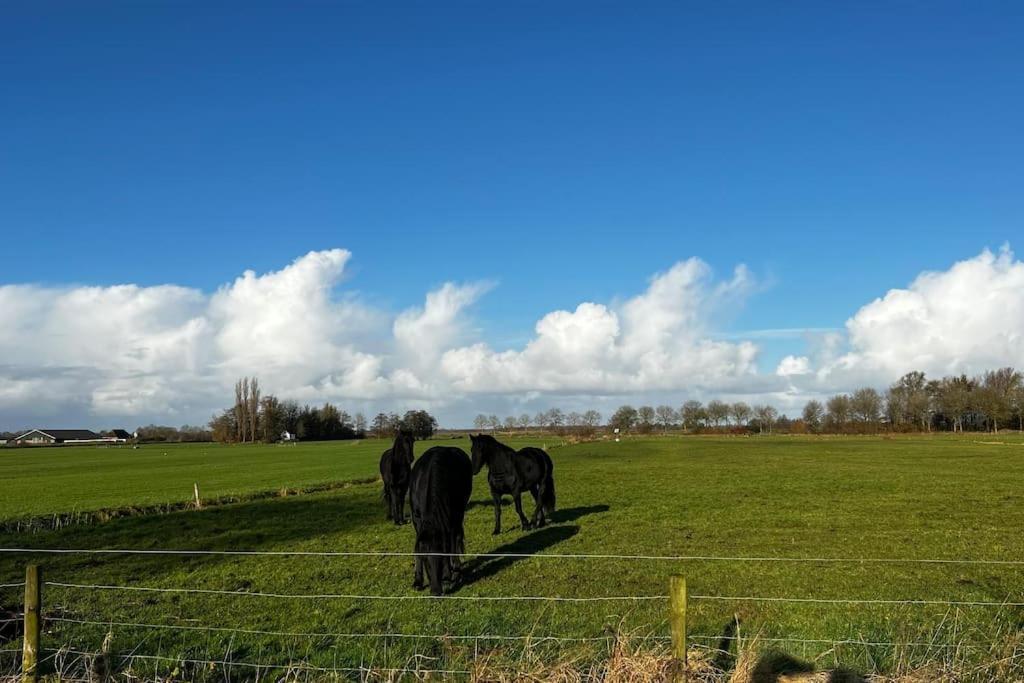Puur Eastermar - Monumentaal, Authentiek En Luxe Koetshuis Aan Open Vaarwater Met Jacuzzi En Sauna Oostermeer エクステリア 写真